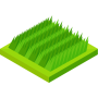 grass (1)